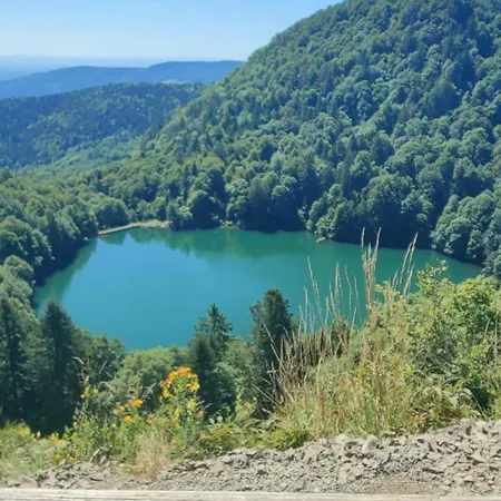 بيت للعطل Aux Mirabelles Chez Florence Thierry بوسانغ